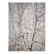Tree in a Snowstorm Postcard