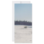 tree in snow1 rack cards