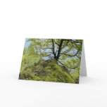 Tree/ Lake Champlain Card