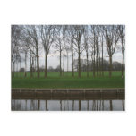 Tree Line Canal Postcard