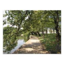 Tree Lined Path by Lakeside Photograph