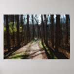 Tree Lined Print