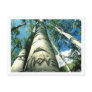 Tree Love Post Card