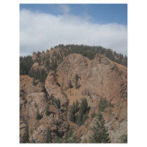 Tree mountan landscape