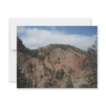 Tree mountan landscape