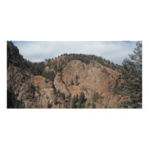 Tree mountan landscape