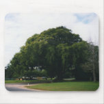 Tree mousepads