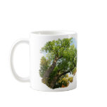Tree mugs