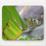 Tree Nymph Rice Paper Butterfly Mousepad
