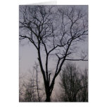 tree of hope cards