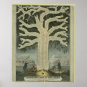 Tree of Irish History posters