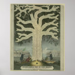 Tree of Irish History posters