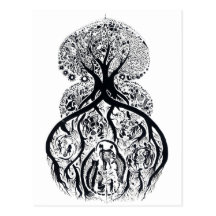 TREE of LIFE - black & white Postcard