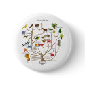 Tree Of Life buttons
