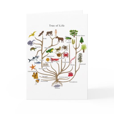 Tree Of Life Greeting Card by atheist_store