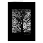 Tree of Life cards