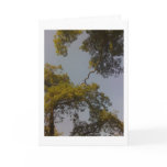 Tree Of Life Lives Long & Prospers Greeting Card