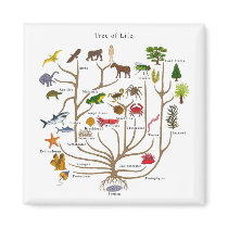 Tree Of Life