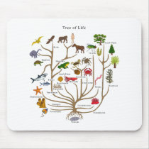 Tree Of Life