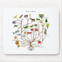 Tree Of Life mousepads