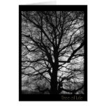 Tree of Life - not only for tree huggers