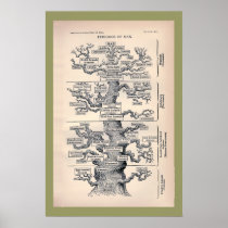 Tree Of Life / Pedigree Of Man Print