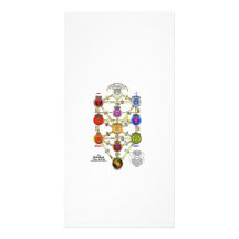 tree-of-life photo card