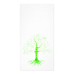 tree of life photo cards
