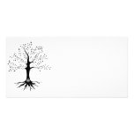 Tree of Life photo cards