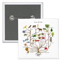 Tree Of Life Pinback Buttons