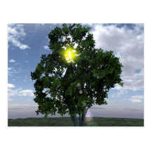 Tree of Life Post Cards