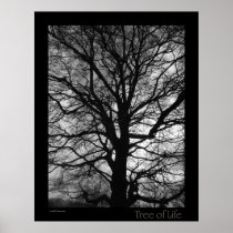 Tree of Life
