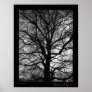 Tree of Life
