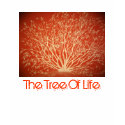 Tree of Life T-Shirt