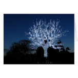 Tree Of Love cards