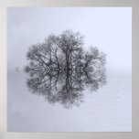 Tree of Reflection Art Poster Print