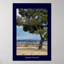 tree on beach poster