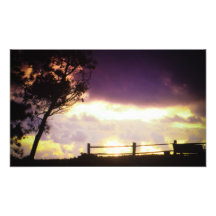 Tree on Fire Photo Art