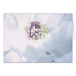 Tree Peony Flower Card