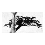 Tree Customized Photo Card