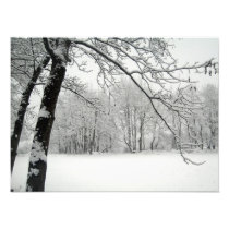 tree art photo