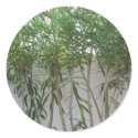 Tree Plants At White Wall stickers