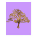 TREE POSTCARD