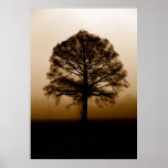Tree posters