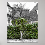 Tree poster