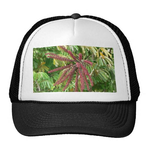 Tree Red Flowers Hat