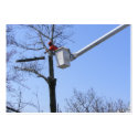 Tree Removal ~ ATC business cards