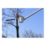 Tree Removal ~ ATC business cards