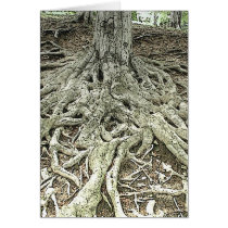 Tree Roots Card