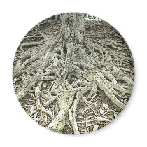 Tree Roots Fridge Magnets